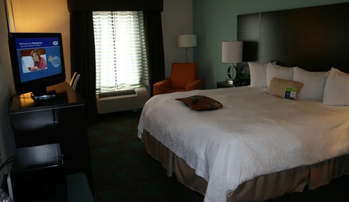 Room, 1 King Bed