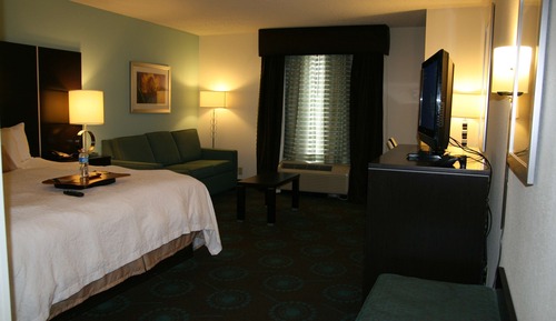 Room, 1 King Bed, Non Smoking