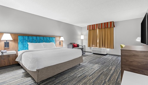 Room, 1 King Bed, Accessible