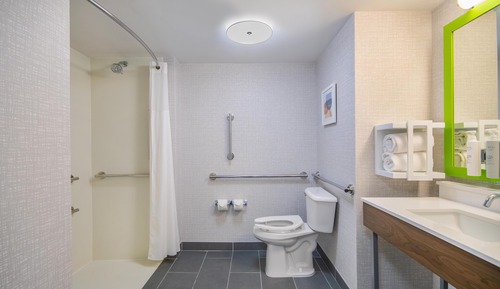 Room, 1 King Bed, Accessible (Roll-In Shower)