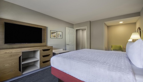 Suite, 1 King Bed with Sofa bed