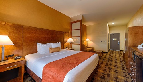 Standard Room, 1 King Bed, Non Smoking, Jetted Tub