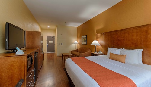 Standard Room, 1 King Bed, Non Smoking (1st Floor;Pet Friendly)