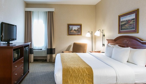 Standard Room, 1 King Bed, Accessible, Non Smoking