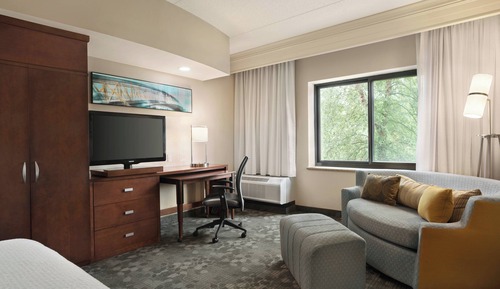 Room, 1 King Bed with Sofa bed (Hearing Accessible)