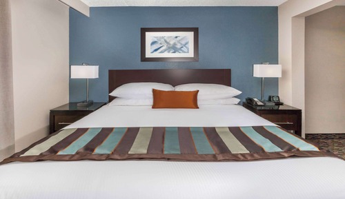 Room, 1 King Bed, Mobility Accessible, Non Smoking (Hearing, Roll-in Shower)