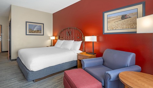 Standard Room, 1 King Bed, Accessible, Refrigerator & Microwave