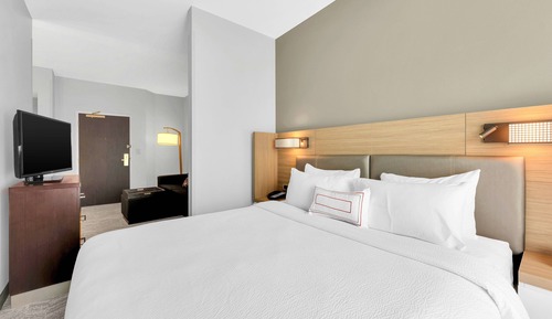 Studio, 1 King Bed with Sofa bed