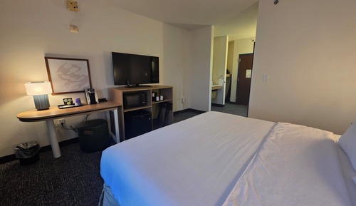 Room, 1 King Bed, Accessible, Bathtub (Mobility)