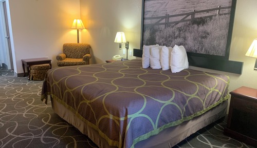 Room, 1 King Bed, Smoking