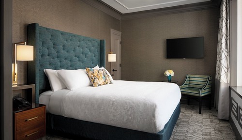 Suite, 1 King Bed with Sofa bed