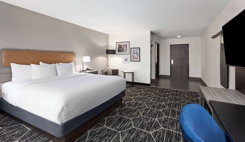Room, 1 King Bed, Mobility Accessible, Non Smoking (Bathtub W/grab Bars)