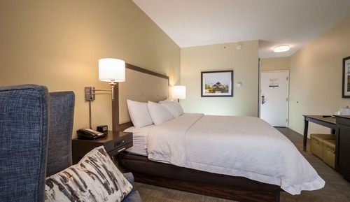 Room, 1 King Bed with Sofa bed, Accessible, Bathtub (Mobility & Hearing)