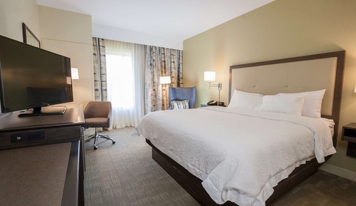 Room, 1 King Bed, Non Smoking