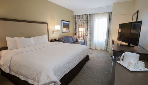 Room, 1 King Bed, Non Smoking (Study)