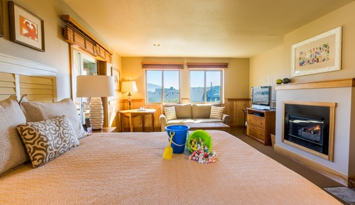 Studio with Sofa Sleeper (Non-View, Pet Friendly)