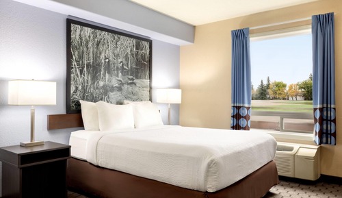 Business Room, 1 Queen Bed, Non Smoking