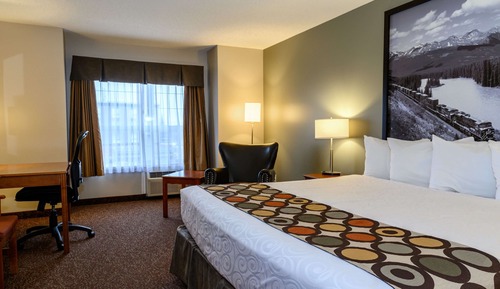 Standard Room, 1 King Bed