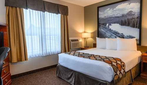 Room, 1 Queen Bed, Microwave