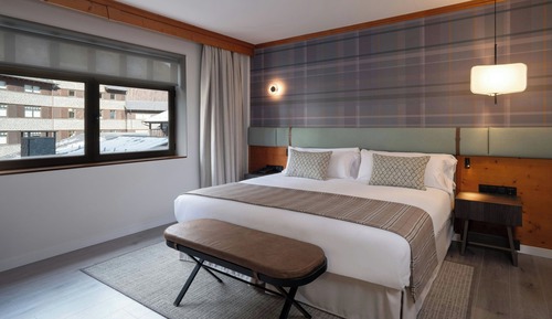 Room, 1 King Bed with Sofa bed