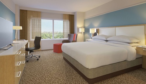 Room, 1 King Bed