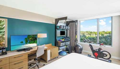 Room, 1 King Bed