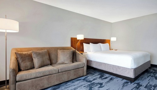 Room, 1 King Bed with Sofa bed