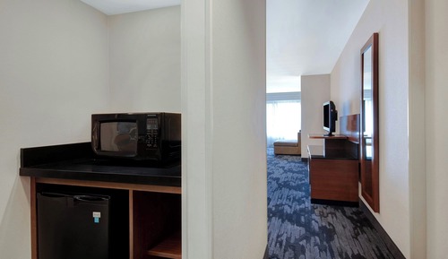 Suite, 1 King Bed with Sofa bed
