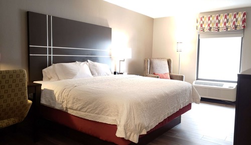Room, 1 King Bed, Non Smoking