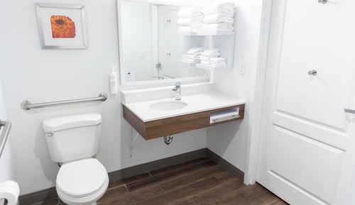 Room, 1 King Bed, Accessible, Non Smoking (Mobility & Hearing, Roll-in Shower)