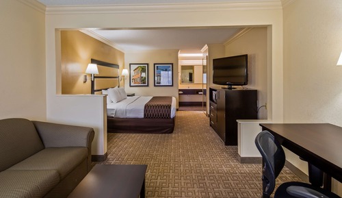 Suite, 1 King Bed, Non Smoking, Refrigerator & Microwave (with Sofabed)