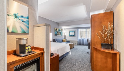Room, 1 King Bed with Sofa bed (Mobility Accessible, Roll-in Shower)