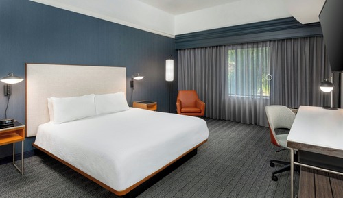 Room, 1 King Bed with Sofa bed (Mobility/Hearing Accessible, Tub)