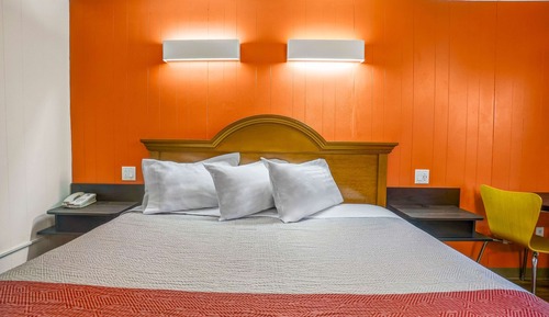 Standard Room, 1 King Bed, Smoking, Refrigerator & Microwave