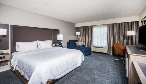 Room, 1 King Bed, Accessible, Non Smoking