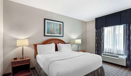 Standard Room, 1 King Bed, Non Smoking, Jetted Tub