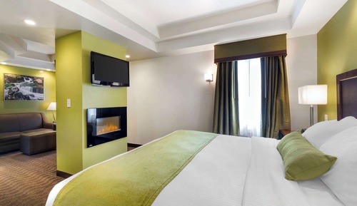 Standard Room, 1 King Bed, Non Smoking, Jetted Tub (Larger Room;with Sofabed)