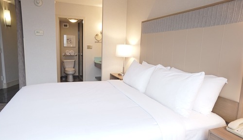 Standard Room, 1 King Bed, Non Smoking (Leisure)