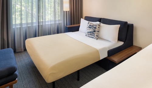 Room, 1 King Bed with Sofa bed