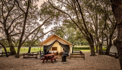 Room (Glamping)