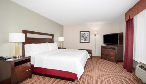 Suite, 1 King Bed