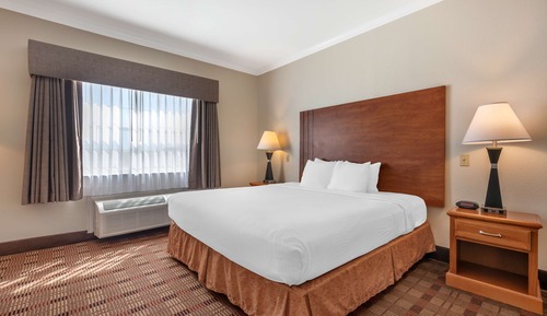 Suite, 1 King Bed, Accessible, Refrigerator & Microwave (with Single Sofabed)