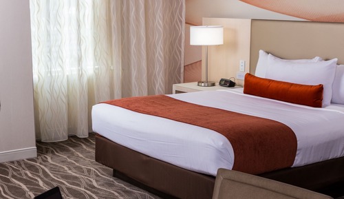 Earth Tower- Deluxe Room 1 King Bed Accessible