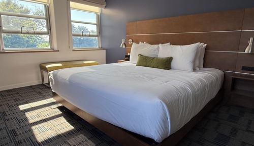 Suite, 1 Queen Bed