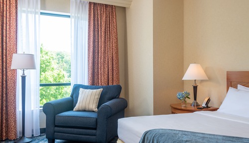 Standard Room, 1 King Bed