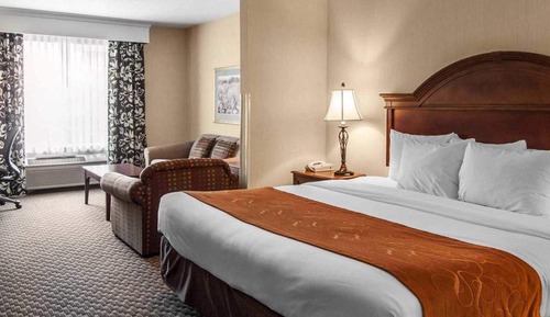 Suite, 1 King Bed with Sofa bed, Accessible, Non Smoking