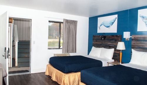 Standard Room, 2 Double Beds