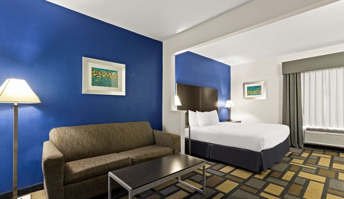 Suite, 1 King Bed with Sofa bed, Non Smoking, Jetted Tub (with Sofabed)