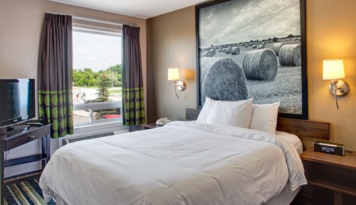 Room, 1 Queen Bed, Non Smoking (One-Bedroom)