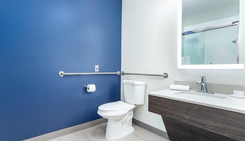 Room, 1 King Bed, Accessible (Mobility & Hearing, Roll-in Shower)